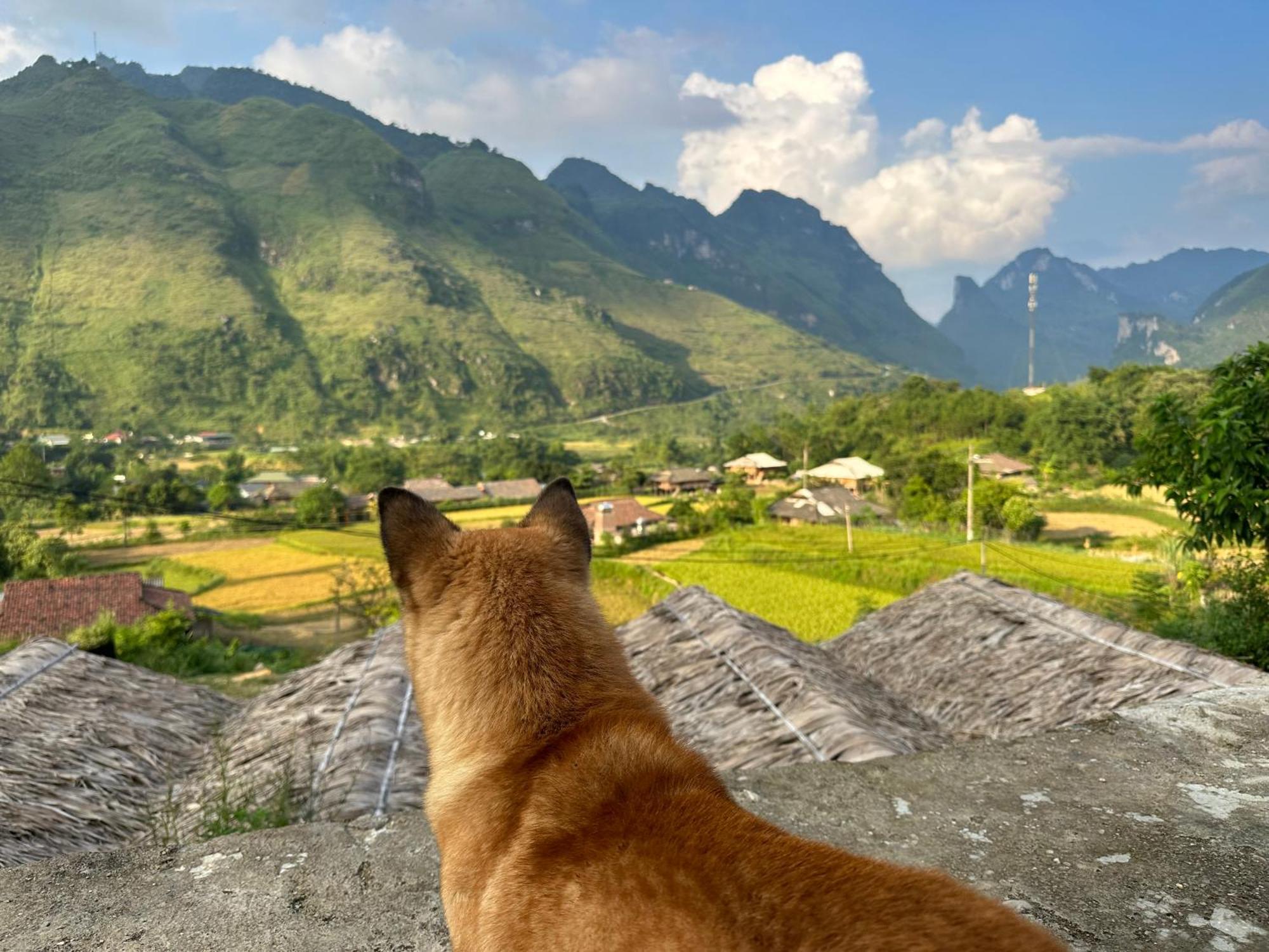 Du Gia Cozy Homestay & Tours Làng Cac Eksteriør billede