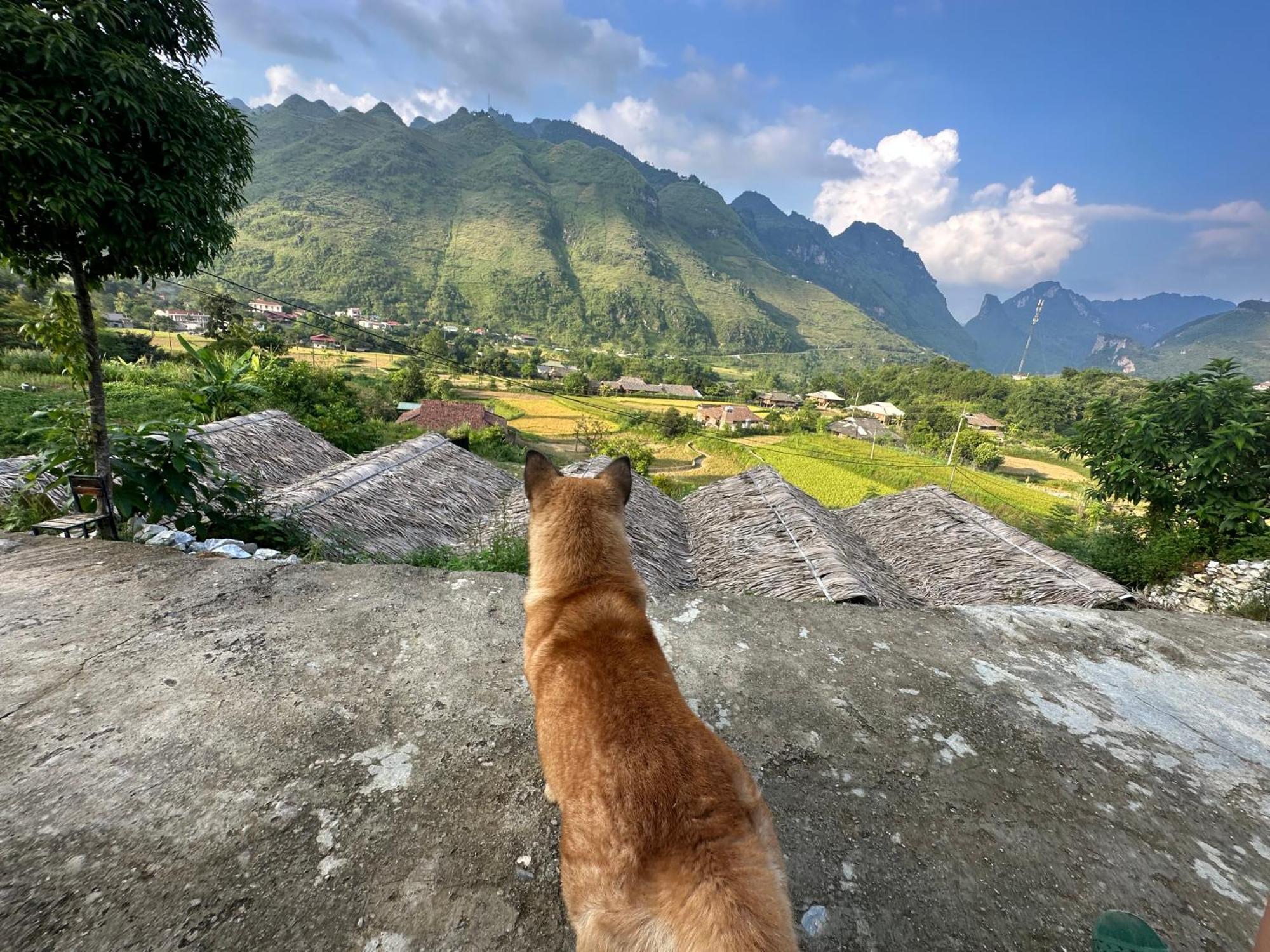 Du Gia Cozy Homestay & Tours Làng Cac Eksteriør billede